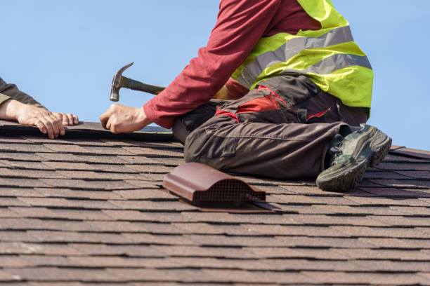 Best Metal Roofing Contractor  in Picayune, MS