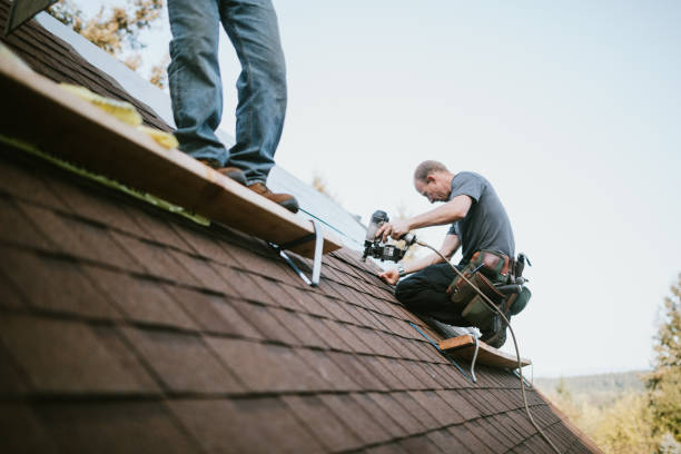 Gutter Installation and Roofing in Picayune, MS